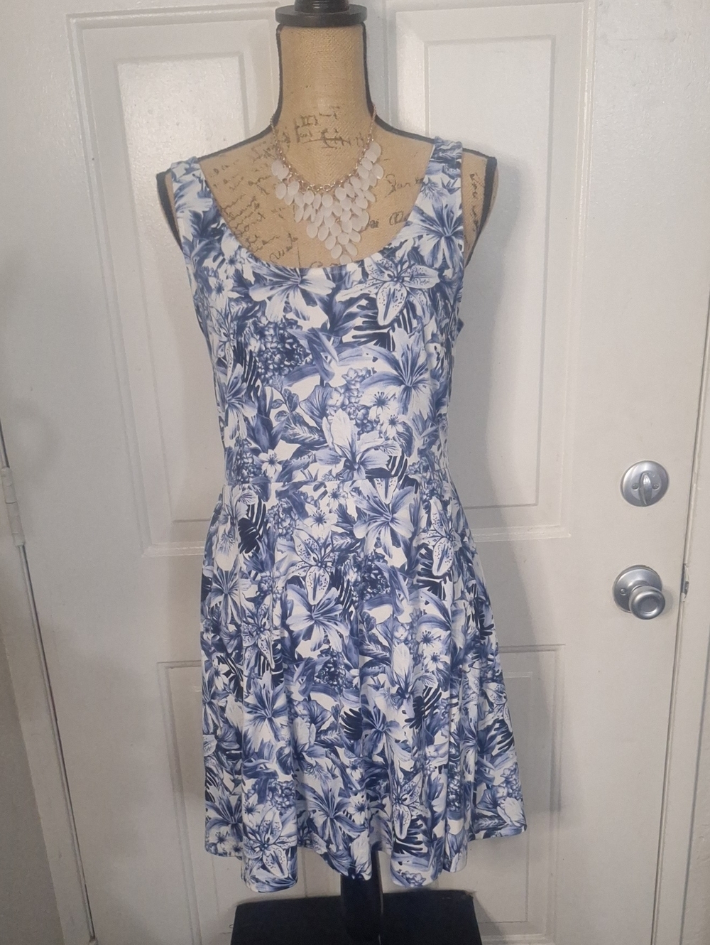 Blue & White Floral Sleeveless Fit-and-Flare Dress